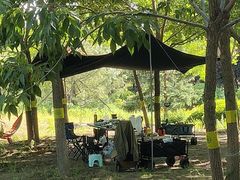 -永定河休闲森林公园