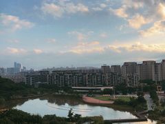 -飞凤山奥体公园