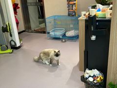-M.S拳击泰拳馆(大学路店)