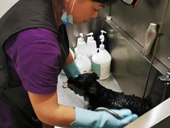 -艾贝尔宠物医院(华府骏苑店)