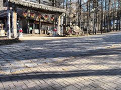-香炉山国家森林公园