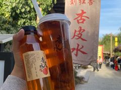 -刘红杏·杏皮水店(月牙泉小镇店)