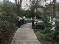 -新湖明珠城