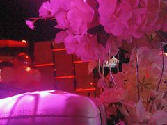 -温莎KTV(珠江路店)