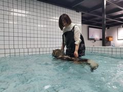 -柚子宠物(伊珊娜调理店)