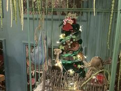 -春风·有糖(崇宁路店)