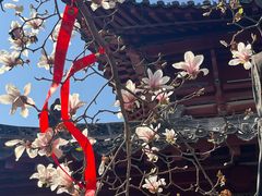 -长春观