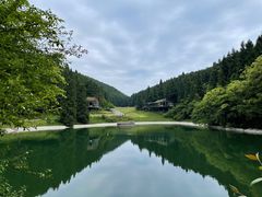 -武陵山森林公园