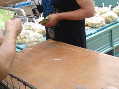 -天鹅湖生态旅游风景区