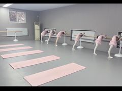 -蒲公英舞蹈艺术中心(促进路校区)