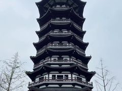 -洋湖国家湿地公园