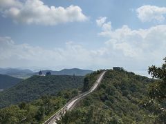 -黄贤森林公园