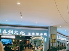 -春润大地海南椰子鸡(沙井京基百纳广场店)