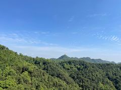 -南山植物园