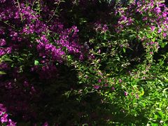 -江南赋(内蒙古大厦店)