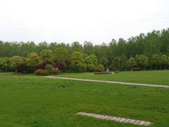 -合肥滨湖国家森林公园