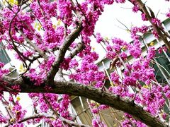 -锦江之星(济南大明湖店)