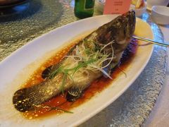 -通安客栈中餐厅·何家小馆