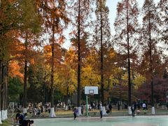 -苏州大学(天赐庄校区)