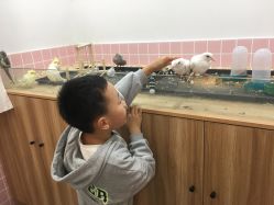 -Moni星球萌宠·小马宝莉·灵蛇·高端高阶全萌宠互动体验俱乐部(红豆国际广场店)