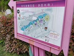-高东镇樱花园