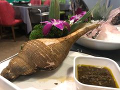 -金龙·打边炉(南京西路店)