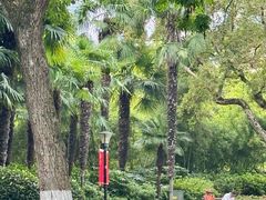 -常州古运河南大街文化旅游区-人民公园