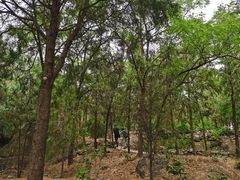 -阳台山自然风景区