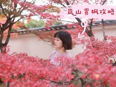 -常寂光寺