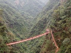 -旗山国家森林公园