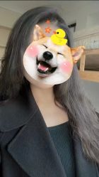 -丝语萱形象