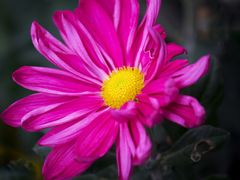 -共青国家森林公园-售票处