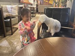 -咖法森林·咖啡  酒吧(天河店)