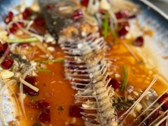 -崂山水果园农家宴(泉水鸡店)