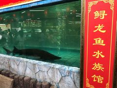-年辉渔村