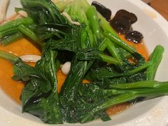 -新白鹿餐厅(百联中环店)