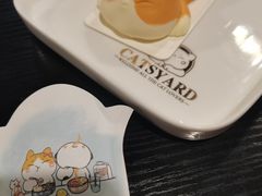 可盐可甜慵懒猫-猫小院猫主题咖啡厅(北锣店)