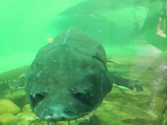 -太平洋海底世界