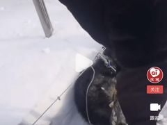 -亚布力新体委滑雪场