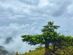 -终南山国家森林公园