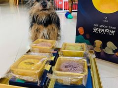 -美联众合动物医院·24h京西诊疗中心