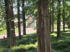 -上海虹桥迎宾馆