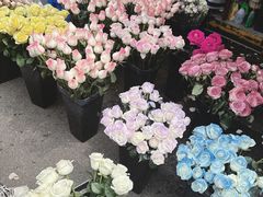 -循礼门鲜花花市(武汉循礼门店)