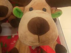 -AEON永旺(东方宝泰店)