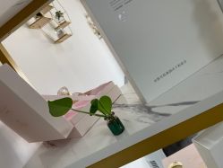 -凡碧诗毛孔收细