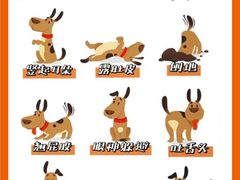 -翊宠yipet猫狗购宠庄园犬舍•猫舍