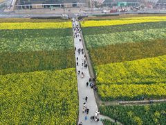 -中国天府农业博览园