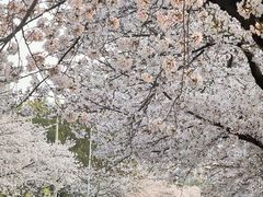 -无锡梅园公园