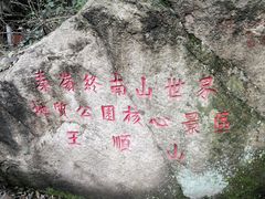 -王顺山国家森林公园