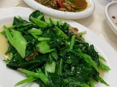 -日日香卤鹅饭店·澄海狮头鹅(澄海店)